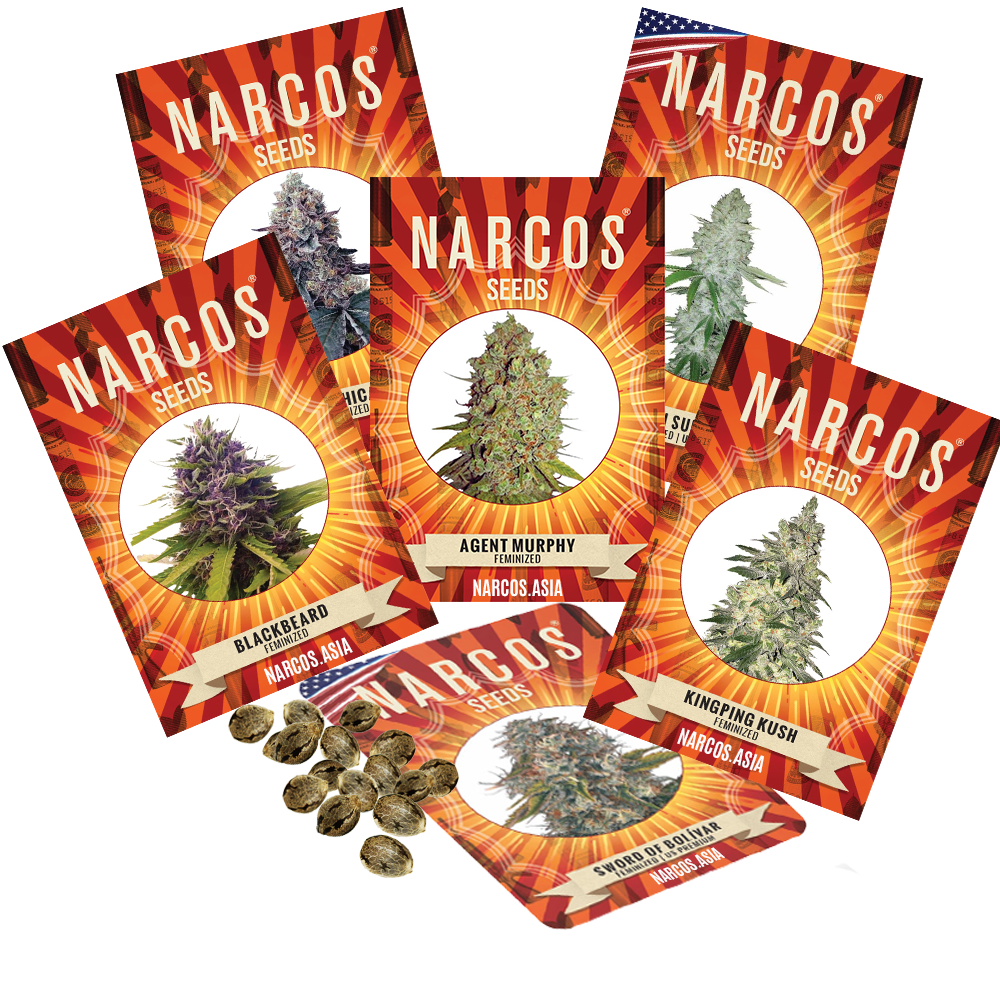 Narcos Seeds - Narcos Asia
